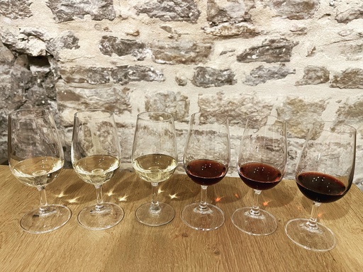 Tasting Workshop: Learn the Art of Wine Tasting